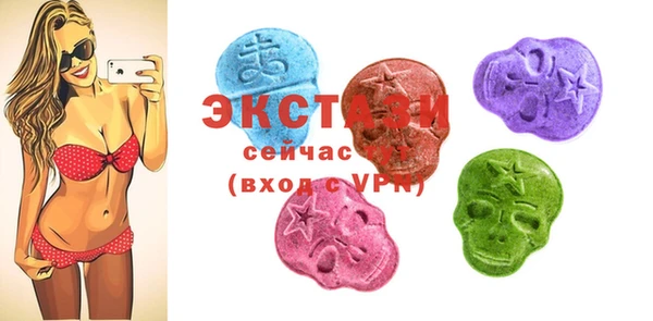 шишки Няндома