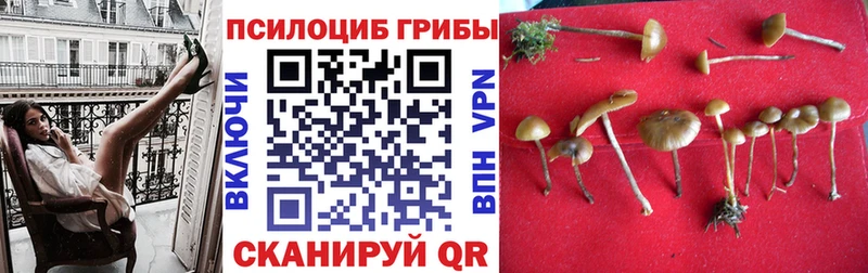Галлюциногенные грибы прущие грибы  площадка наркотические препараты  Кириши 